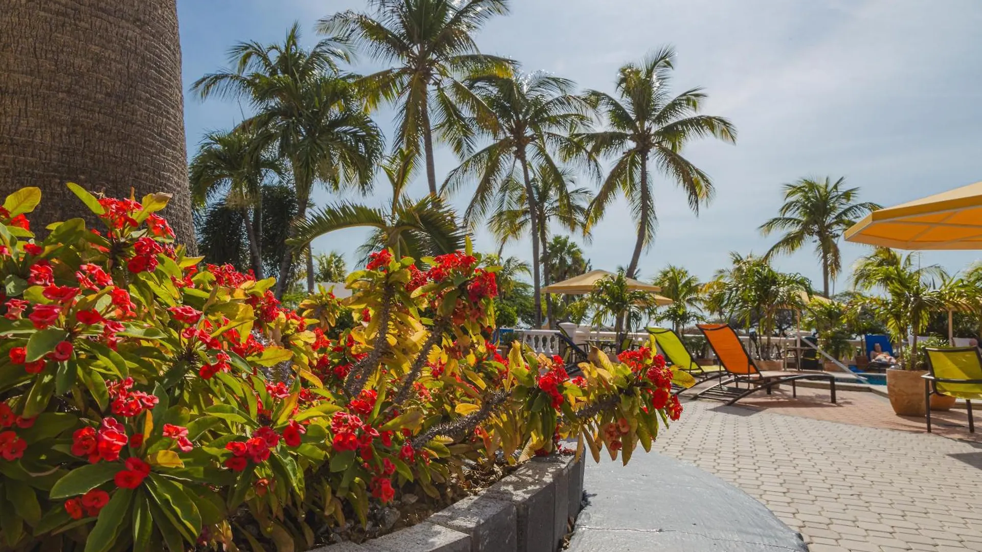 Amsterdam Manor Beach Resort Palm Beach