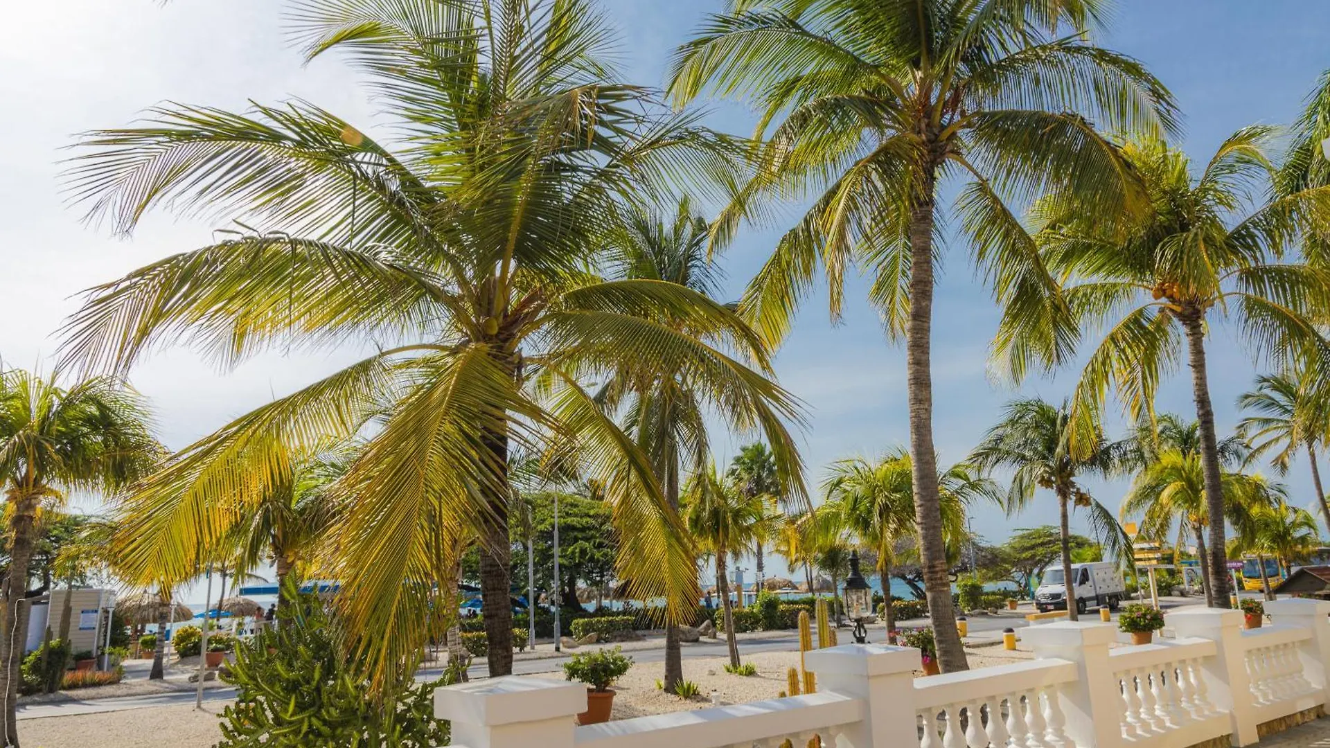 Amsterdam Manor Beach Resort Palm Beach