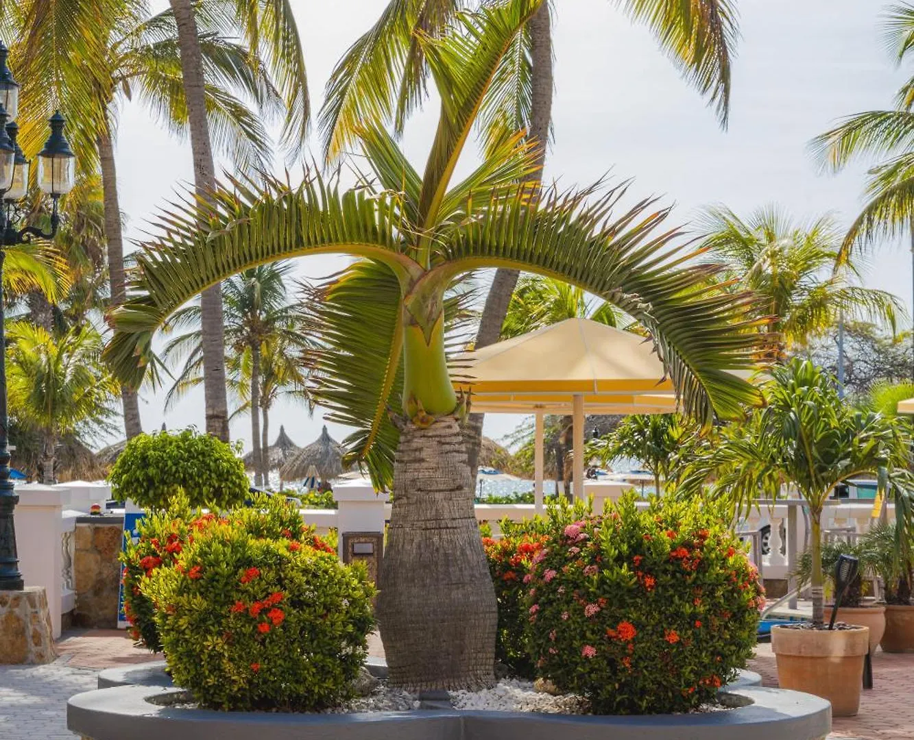 Amsterdam Manor Beach Resort Palm Beach