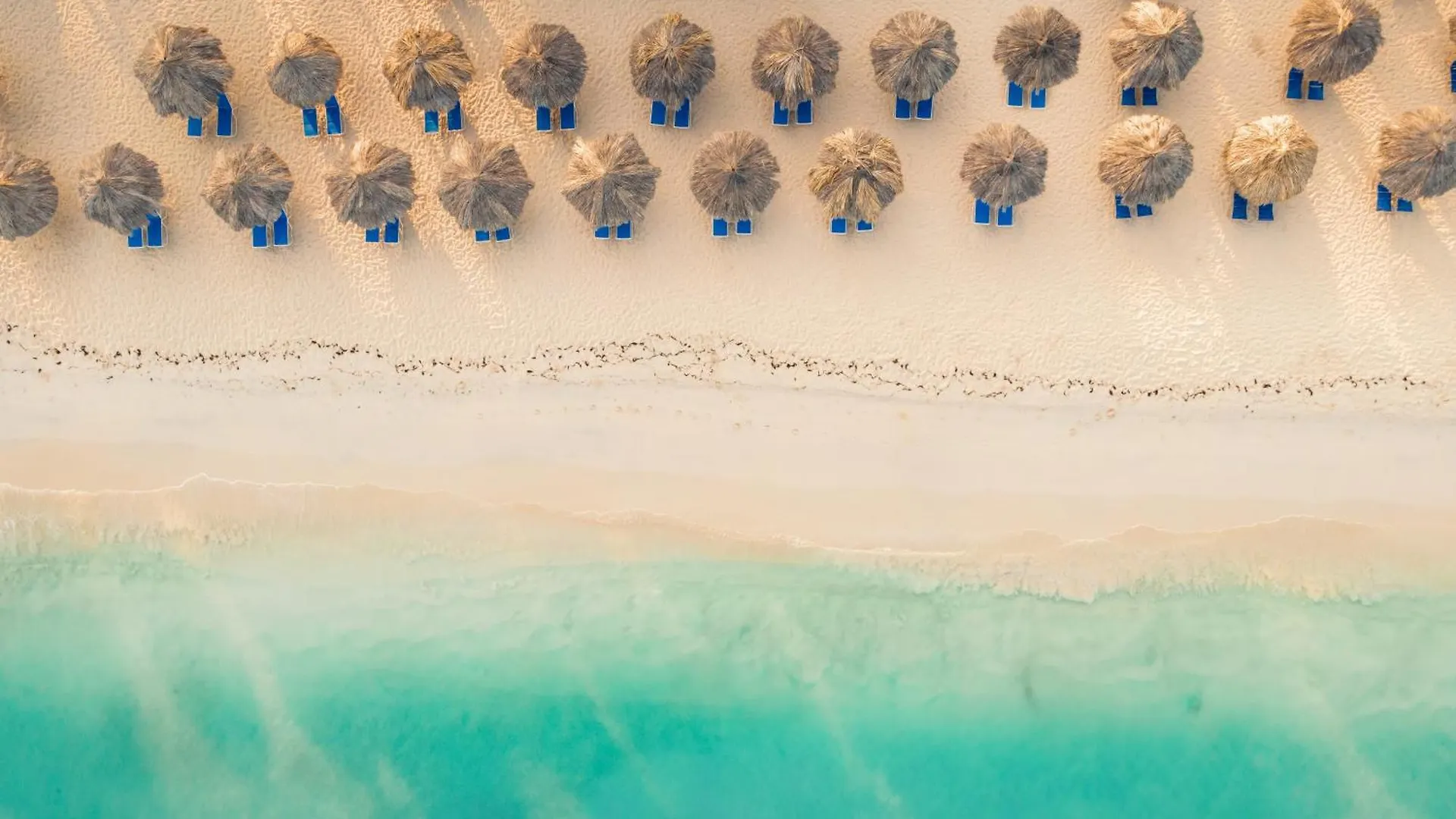 Amsterdam Manor Beach Resort Παλμ Μπιτς