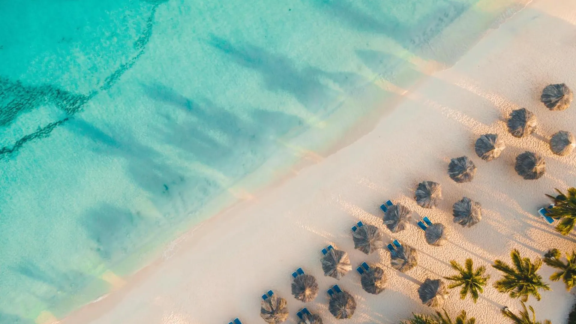 ****  Amsterdam Manor Beach Resort Palm Beach Aruba